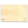 n°21565 - MM Vienne n°418 - Dessin d'un chiot marron