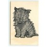 n°21568 - MM Vienne n°418 - Dessin d'un chat gris