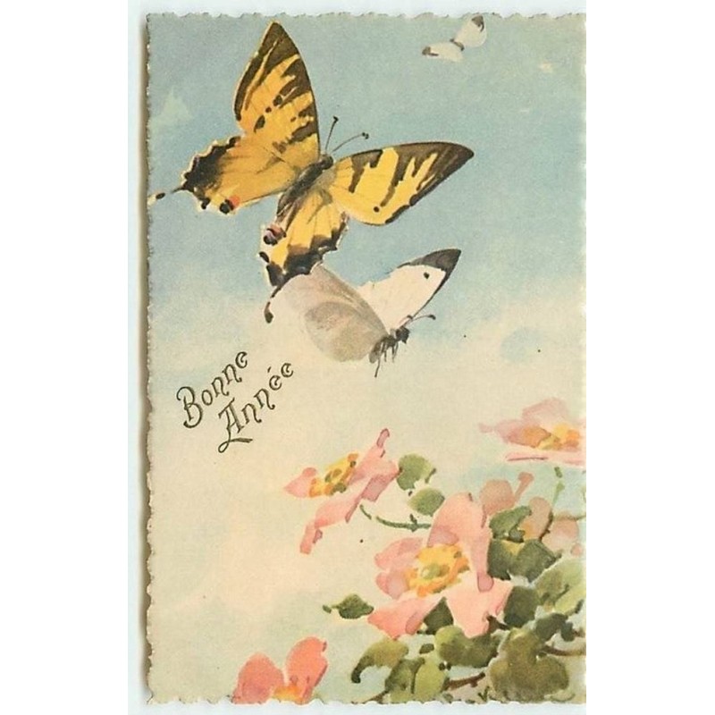 n°11309 - Carte Illustrateur - Catharina Klein - Aubépine et Papillons